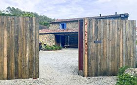 Seixurra 31